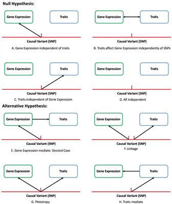 Prediction of Alzheimer’s Disease-Associated Genes by Integration of GWAS Summary Data and Expression Data